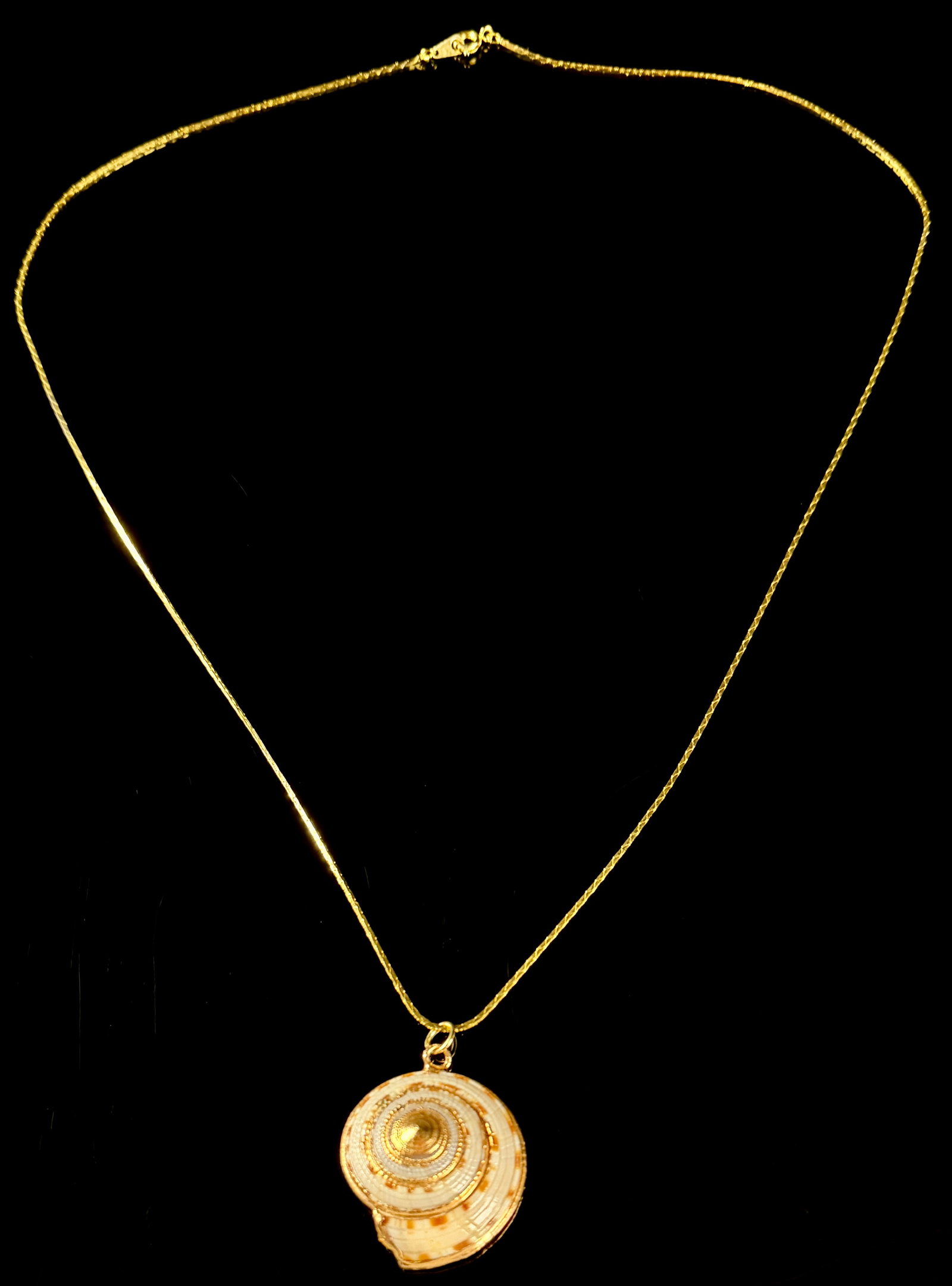 Vintage Sundial Shell Pendant Necklace: This necklace features a natural spiral seashell pendant, identified as a sundial shell (Architectonica perspectiva). The shell exhibits a cream and brown spotted pattern and is set within a gold-tone