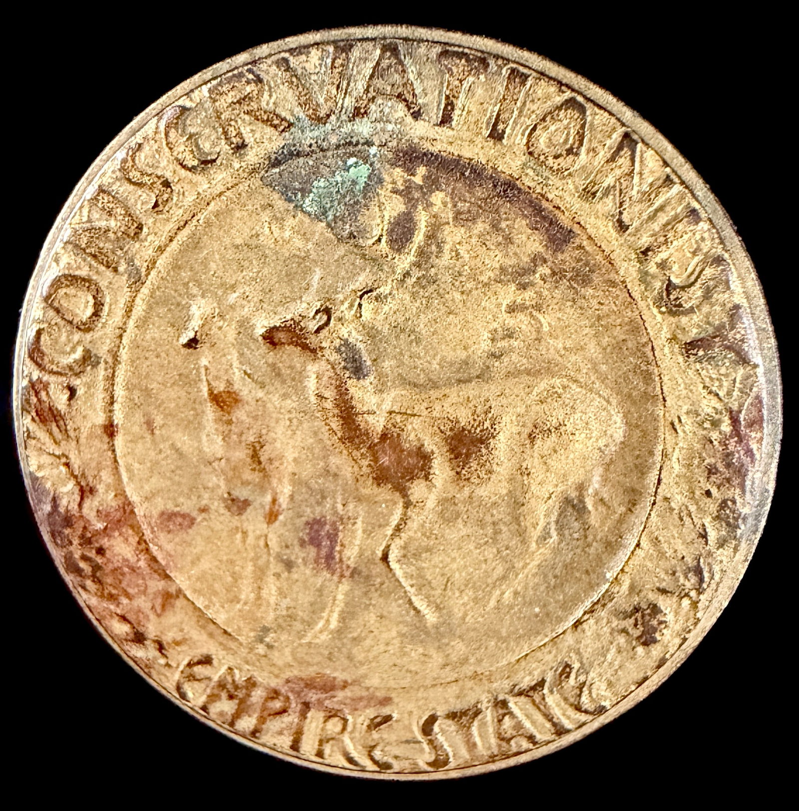 Empire State Conservationist Gilt Base Metal Pinback Badge by Bastian Bros. Co.: This is an Empire State Conservationist membership or award pinback badge. The piece is constructed from a gold-toned gilt base metal, likely brass. The obverse features a central embossed buck deer d