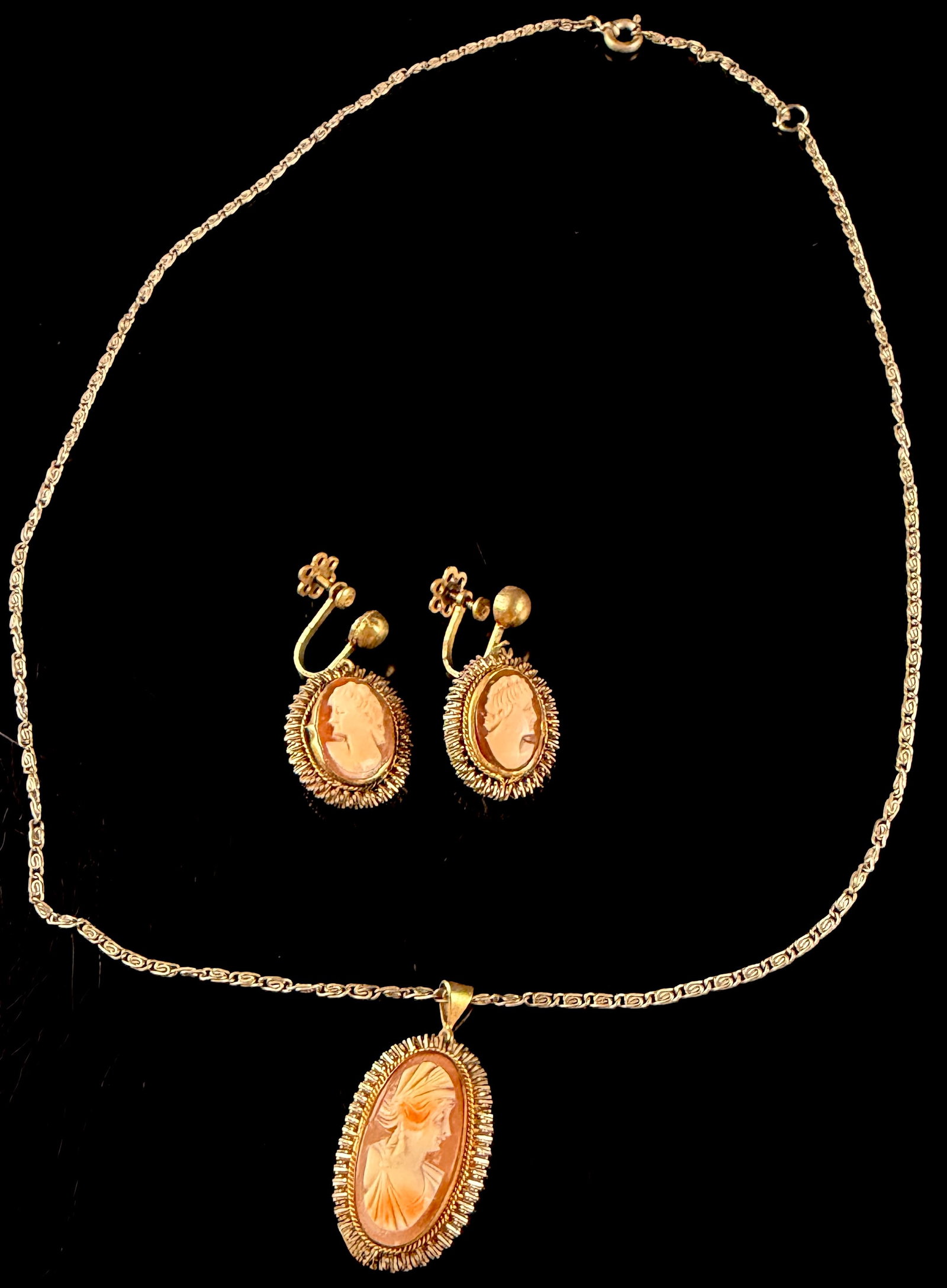 A Vintage Shell Cameo Demi-Parure of a Pendant Necklace and Screw-Back Earrings (1 of 7)