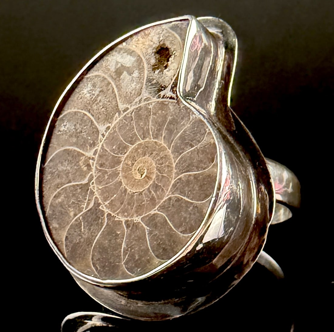 Sterling Silver and Polished Ammonite Fossil Statement Ring (1 of 6)