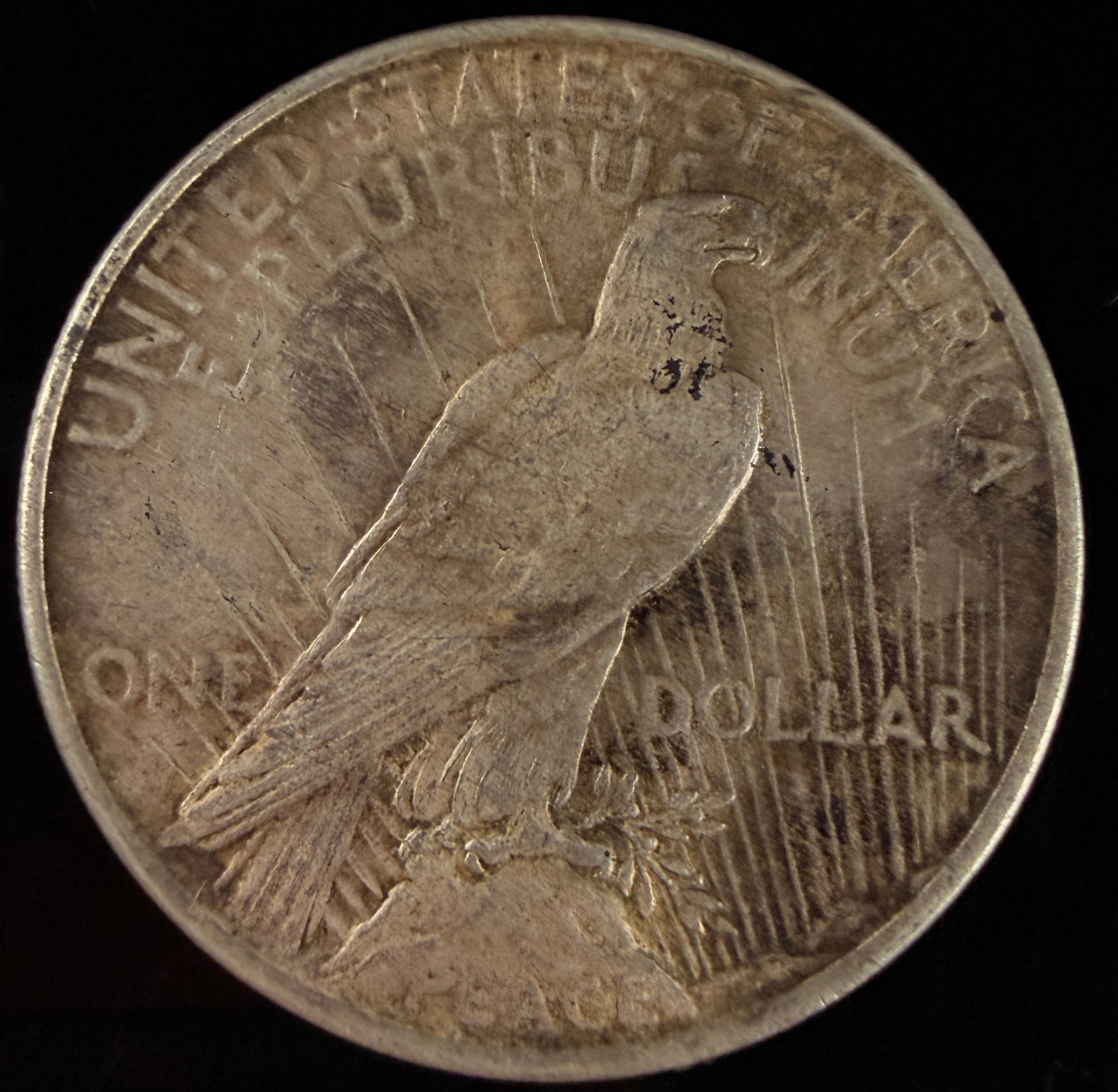1924 US Peace Silver Dollar - 2