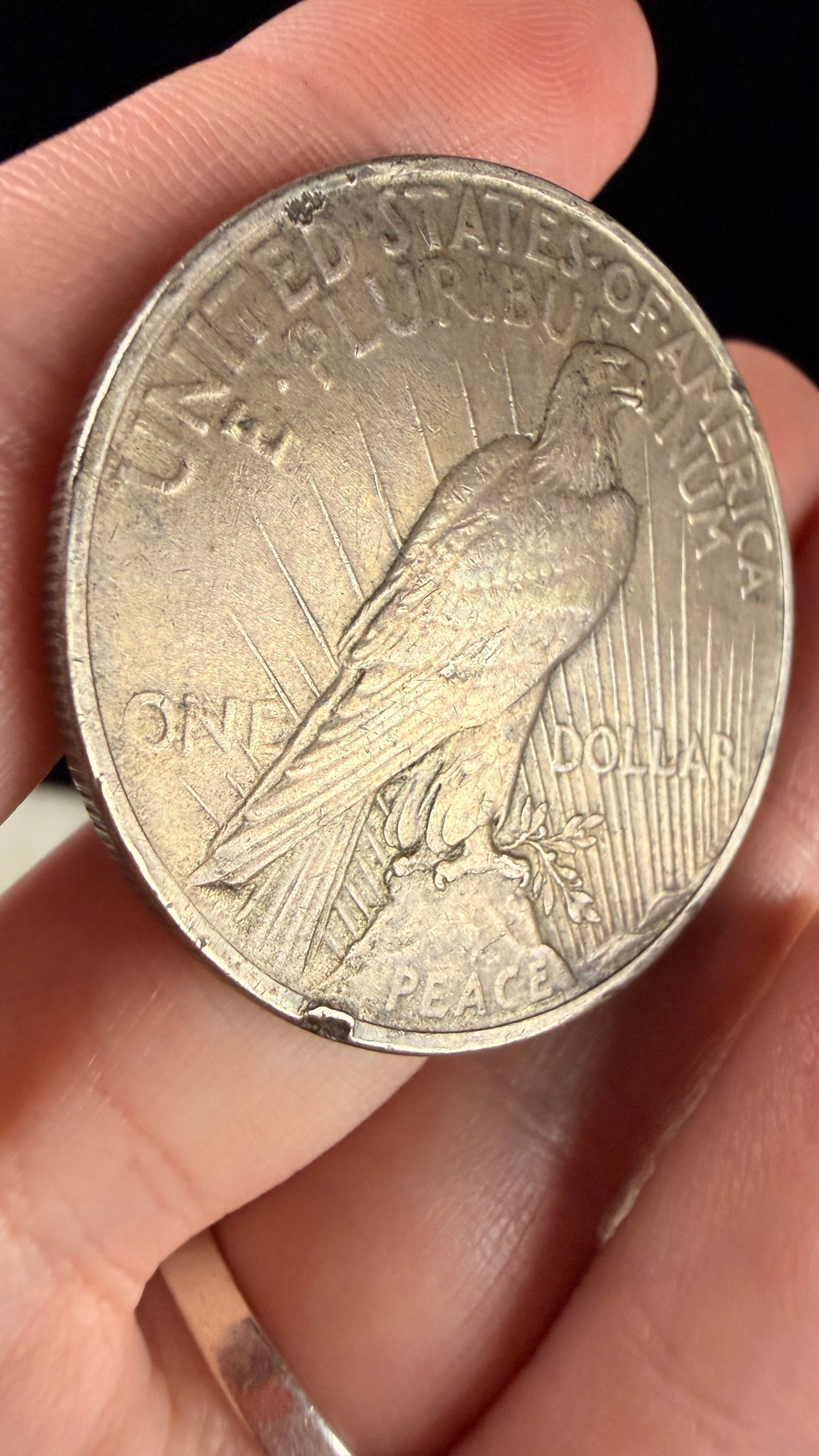 1922 US Peace Silver Dollar - 3