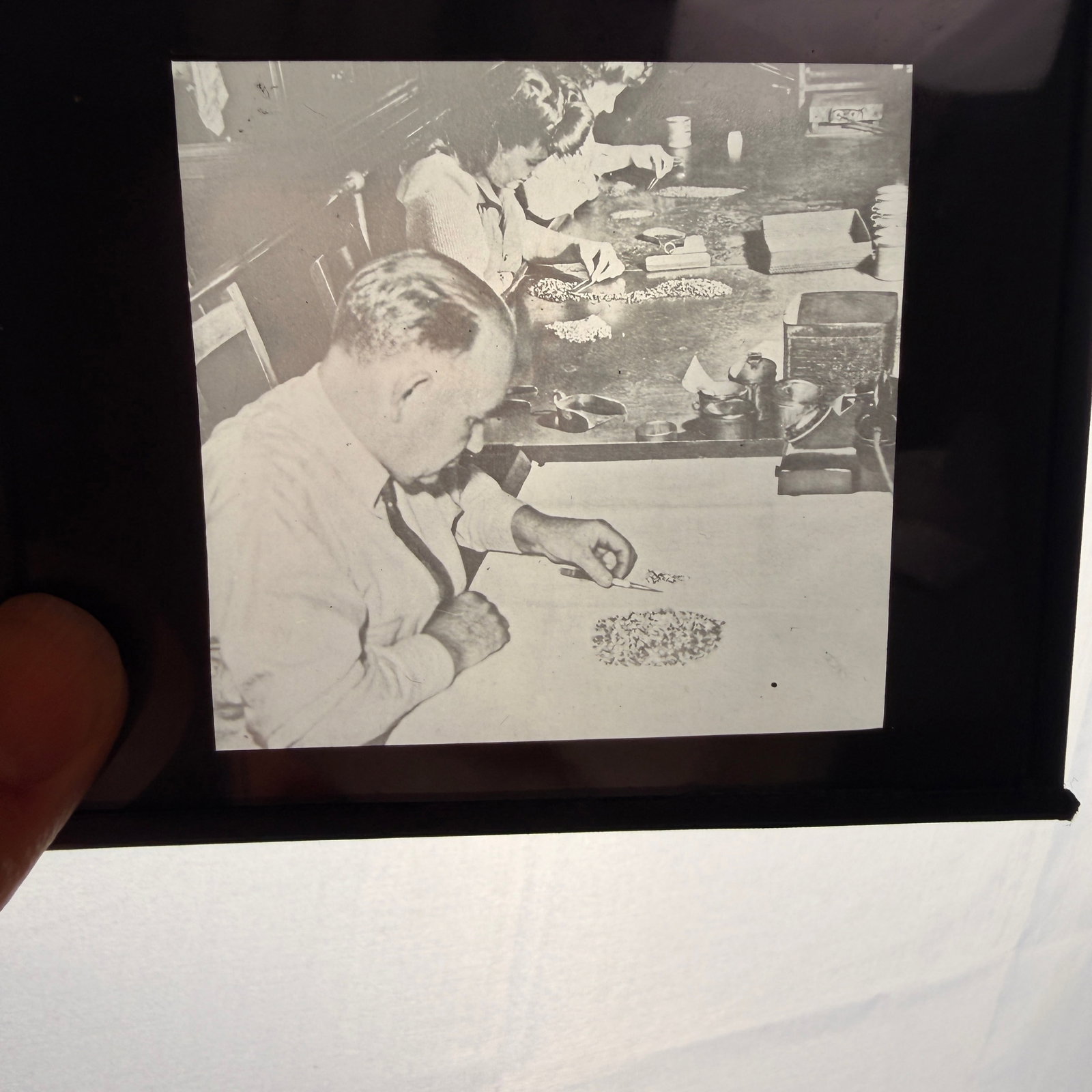 A Set of Five Vintage Silver Gelatin Glass Lantern Slides Depicting Industrial Processing: This lot consists of a collection of five vintage silver gelatin glass lantern slides documenting various stages of industrial or agricultural processing. The black and white imagery includes a range 