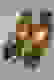 item-5052052=2