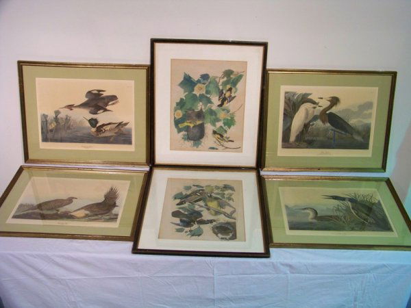 6 - J.J. Audubon Birds Prints: 8 --J.J. Audubon Birds Prints.