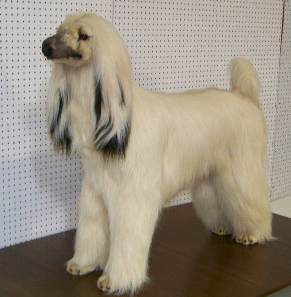 life size great dane stuffed animal