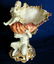 217: 19TH CONTINENTAL PORCELAIN COMPOTE