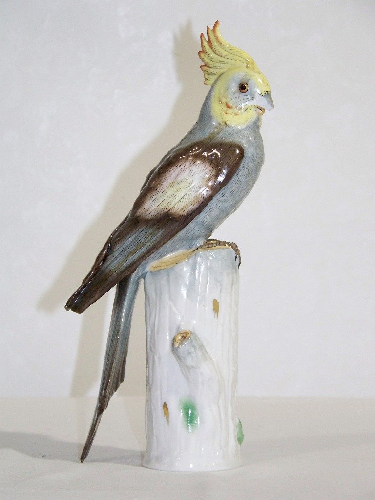 19th C. Capodimonte Porcelain Parrot on Tree: 19th C. Capodimonte Porcelain Parrot on Tree. A fine hand painted porcelain Parrot standing app.9 3/4" tall.Parrot has loss as shown,missing tail feather an loss to beak.