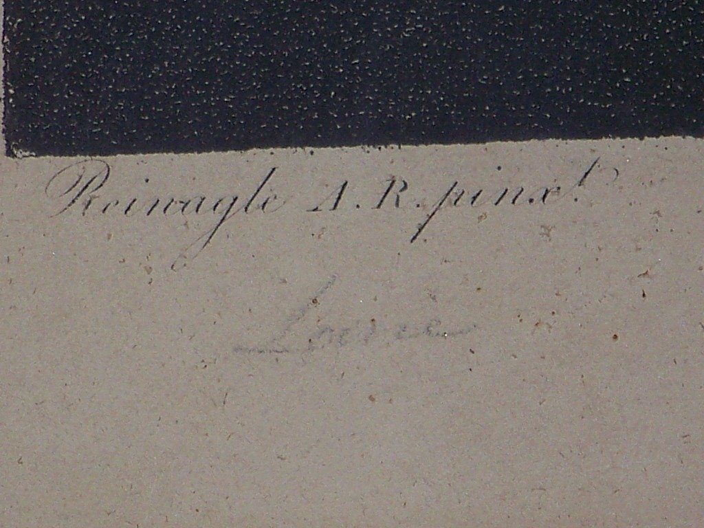 19th C. Aquatint by "Dr. Thornton" Fine Botanical - 4