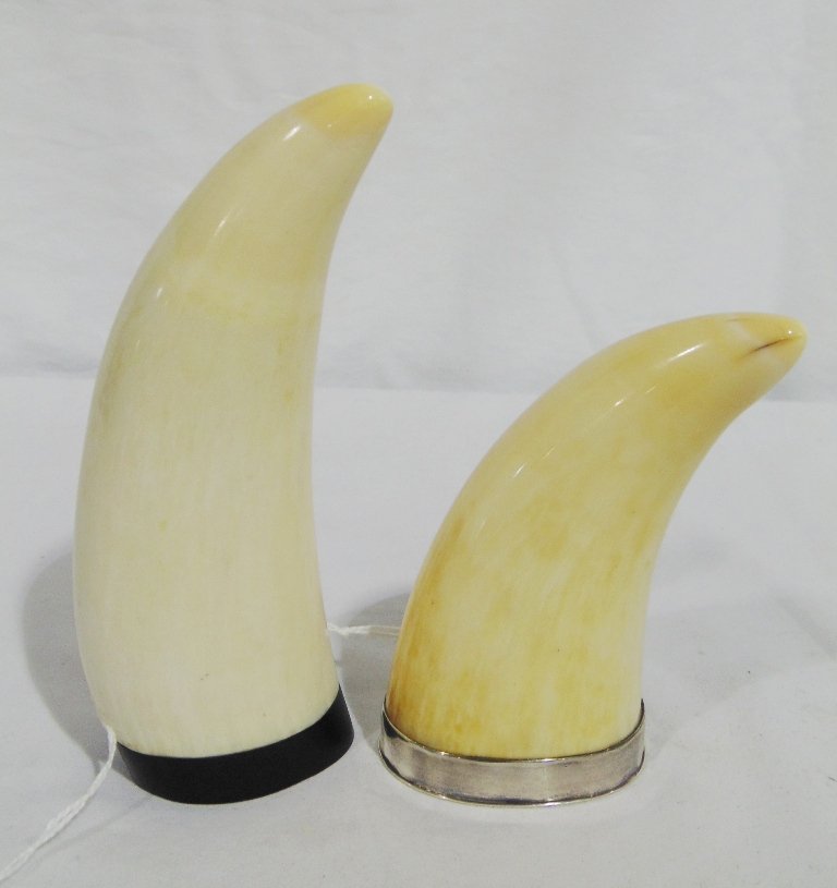 2 MOUNTED WHALES TEETH: This lot is for 2 mounted whales teeth. One mounted on sterling silver and the other mounted on ebony. The silver mounted one is 3 3/4" high, the ebony mounted one is 5 1/4" high. Provenance: The Esta