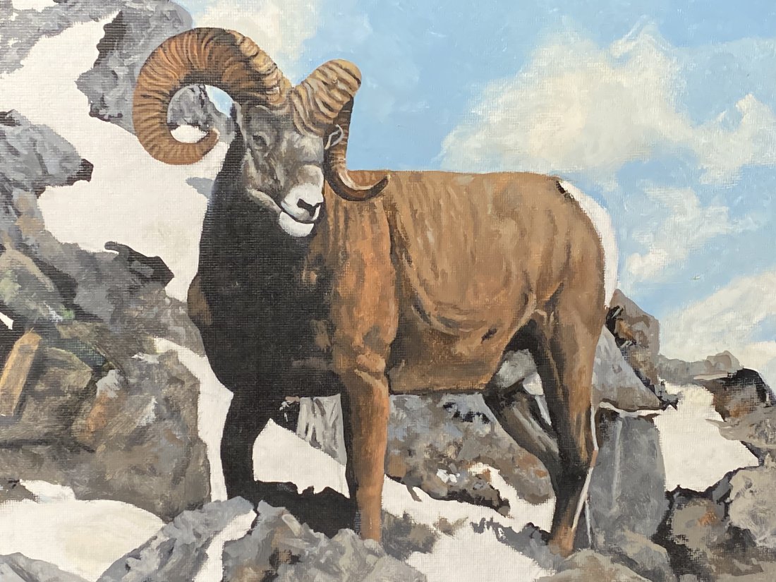 Gary Sherman painting of Mountain Ram Oklahoma Artist: Gary Sherman painting of Mountain Ram Oklahoma Artist..Image 12" x 16"