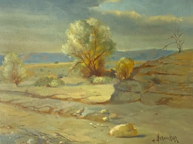 Vernon Kerr California Desert Landscape