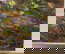 item-210620680=7
