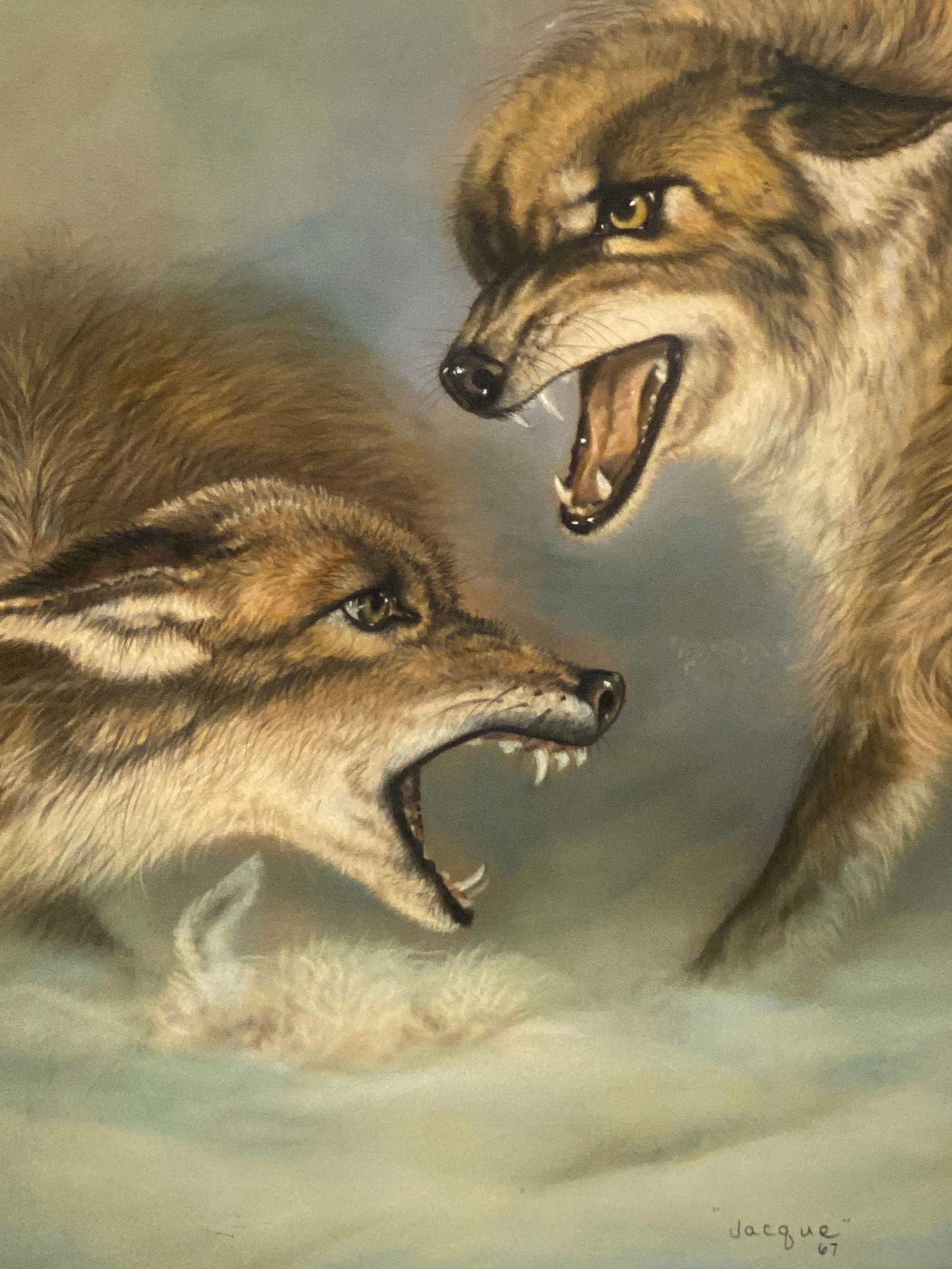 Amazing Pastel of wolves signed Jacque 67 possibly 1867? Or 1967: Amazing Pastel of wolves signed Jacque 67 possibly 1867? Or 1967..Image 14” x 17 1/2”..Not examined out of the frame.