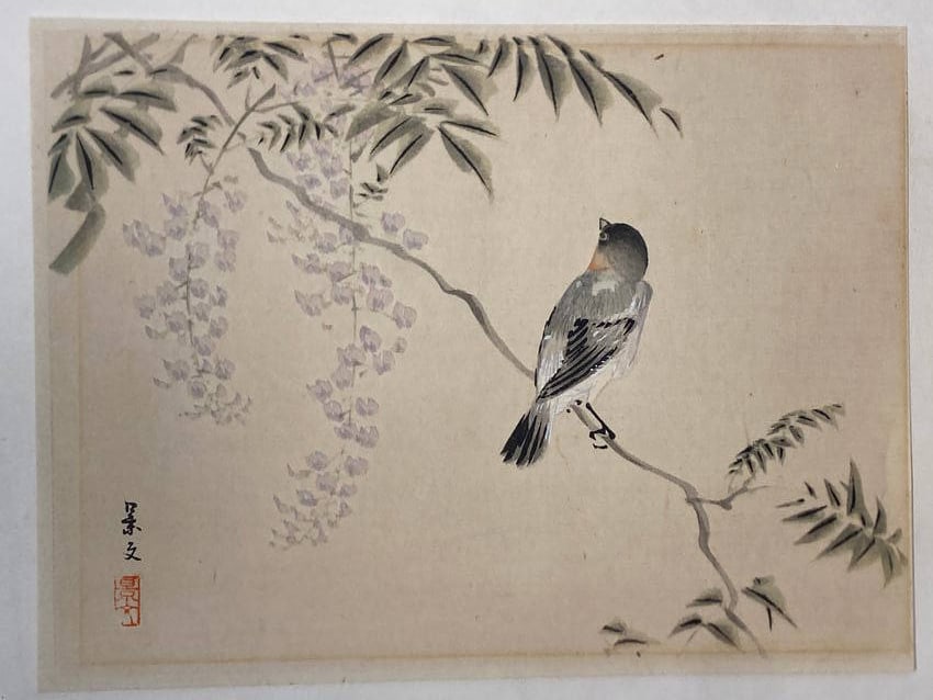 Japanese Original Watercolor of a Bird on a branch by Keibun: Japanese Original Watercolor of a Bird on a branch by Keibun-----Size is 9 1/4" x 7"..