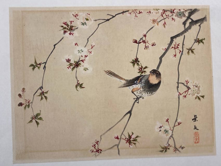 Japanese Original Watercolor of a Bird on a branch by Keibun: Japanese Original Watercolor of a Bird on a branch by Keibun-----Size is 9 1/4" x 7"..