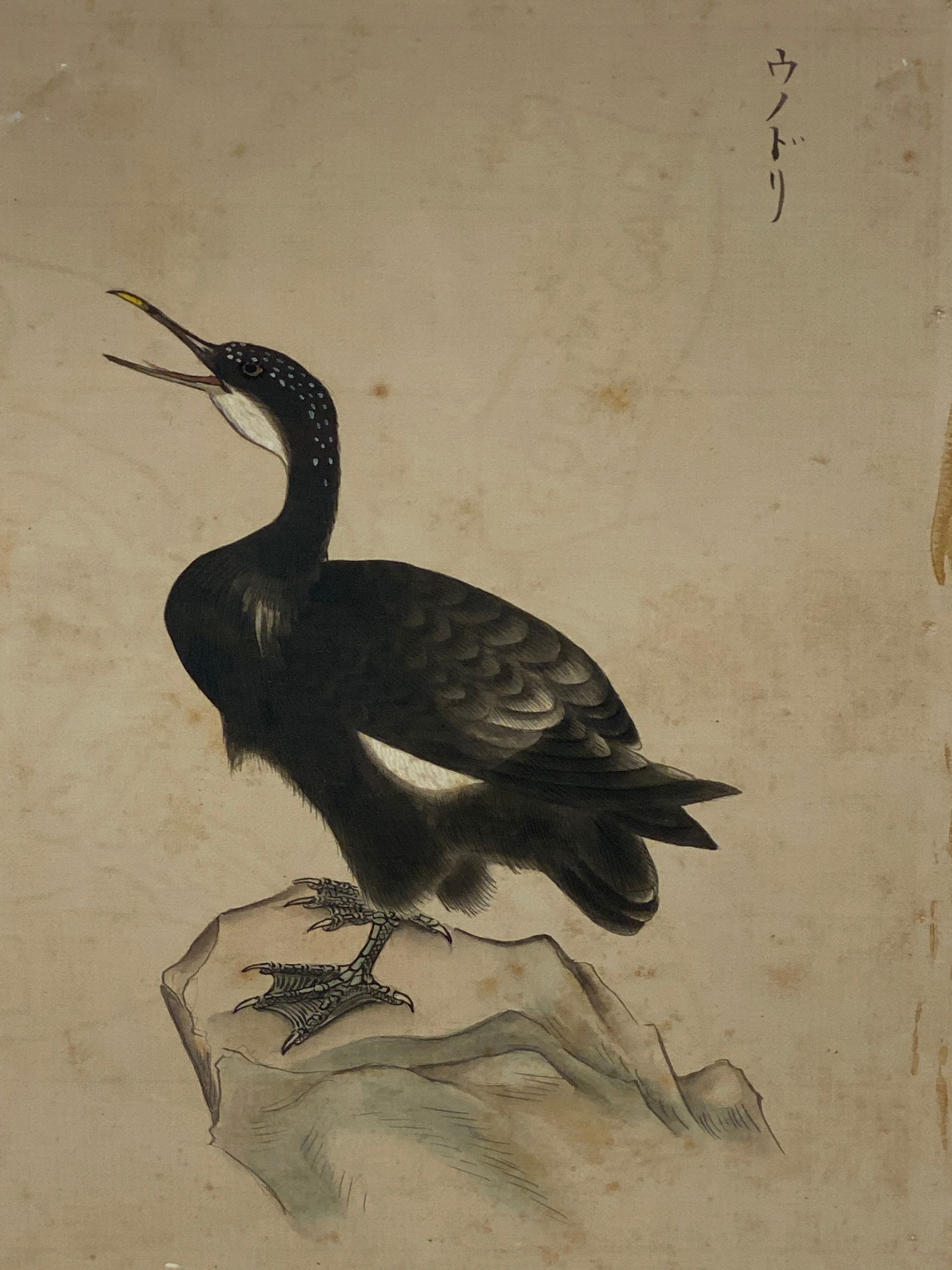 Antique Original watercolor of a Black Bird signed Japanese: Antique Original watercolor of a Black Bird signed Japanese —-6 1/4” x 8”..