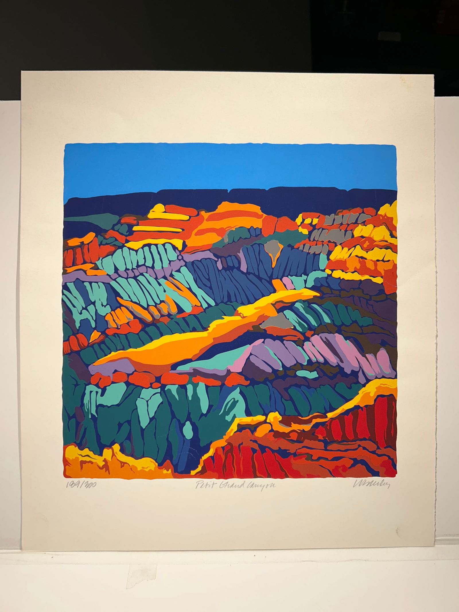 Carol Beasley Original Serigraph Grand Canyon: Carol Beasley Original Serigraph Grand Canyon..image 12” x 12”