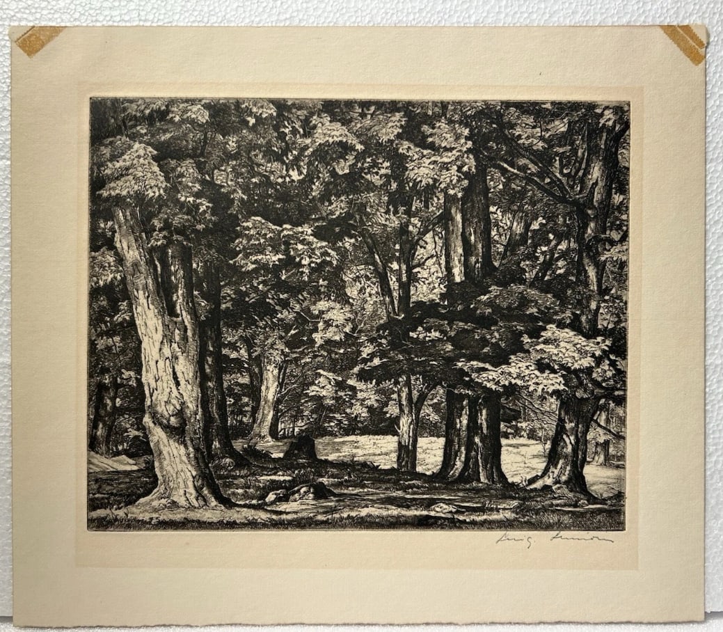 Luigi Lucioni Original Etchings Titled Tree Tapestry Pencil Signed (1 of 3)