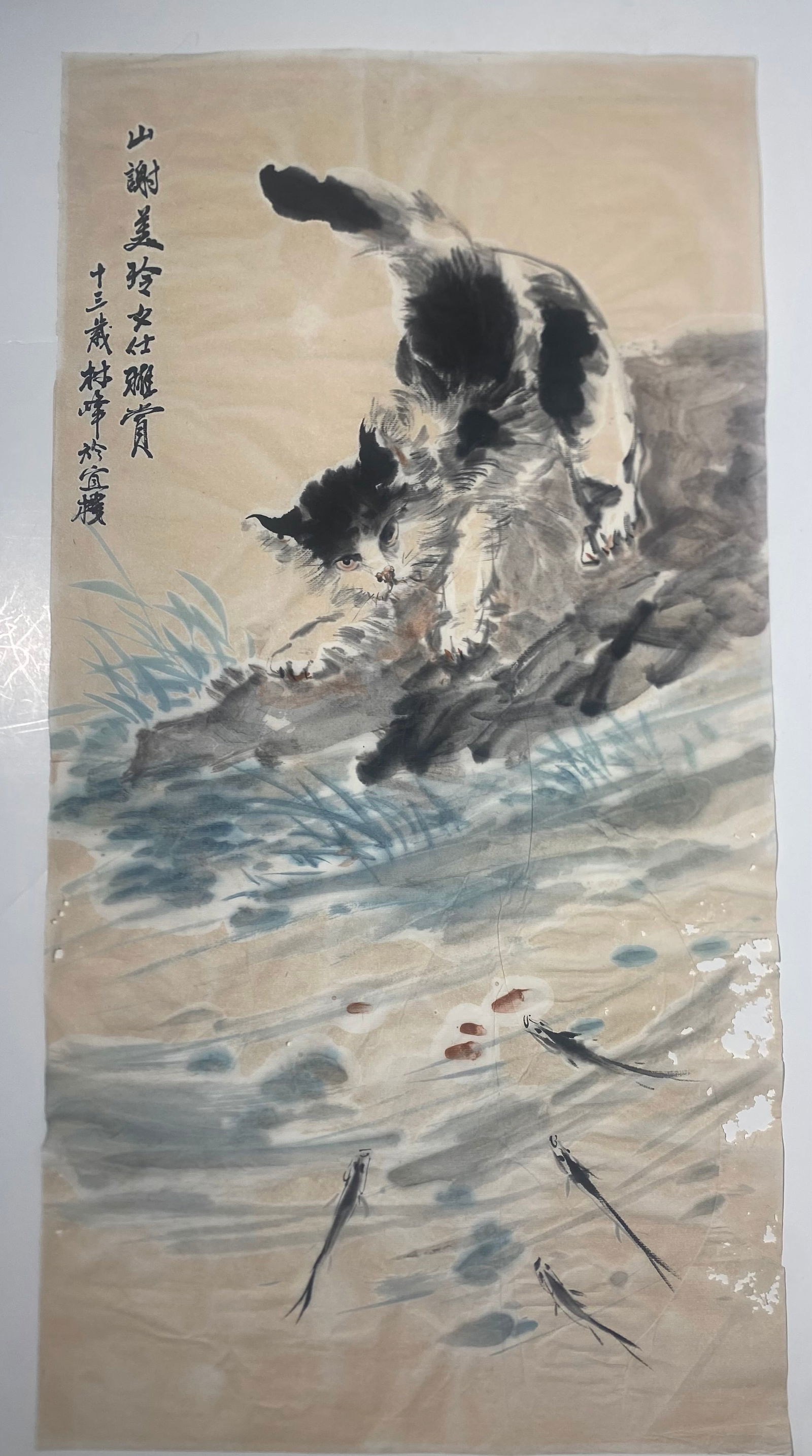 Chinese watercolor of a cat and fish: Chinese watercolor of a cat and fish..size is 13 3/8” x 26”Has some missing areas.. see pics