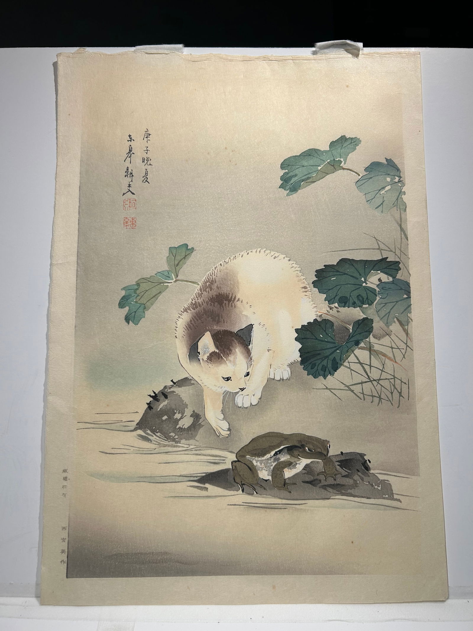 Oide Toko: Cat and Frog 1950s Japanese Woodblock print: Oide Toko: Cat and Frog 1950s Japanese Woodblock print..11” x 15”