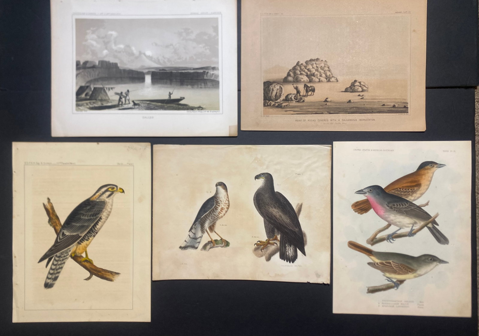 LOT of 17 Western Americana - Railroad Survey Lithographs 1850s - 4