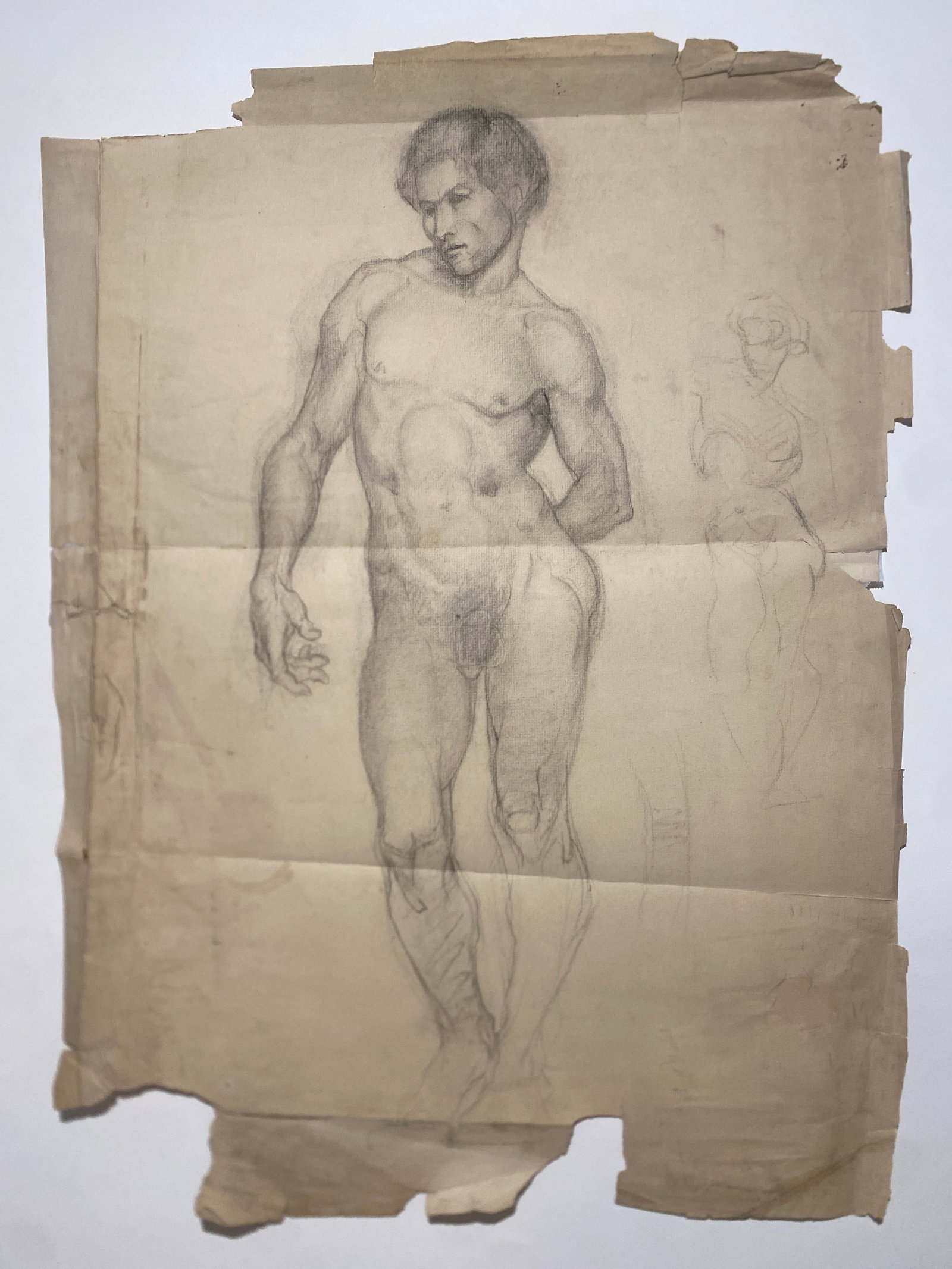 Antique Male Nude Study Graphite Drawing Very Well Done: Antique Male Nude Study Graphite Drawing Very Well Done..Overall size is aprox 18" x 24"..On Laid paper..with a USA watermark.