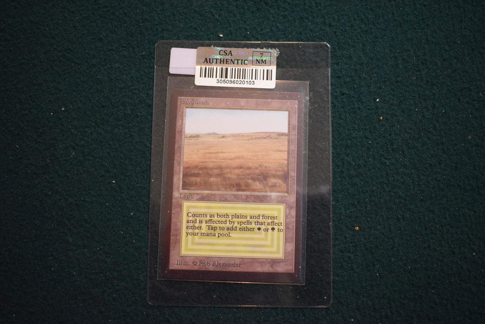 MTG: Beta Savannah Magic the Gathering card DUAL LAND. Graded 7 (1 of 2)