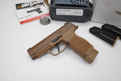 Sig Sauer R365XL (mm