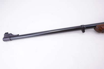 Ruger No. 1 338 Win Mag
