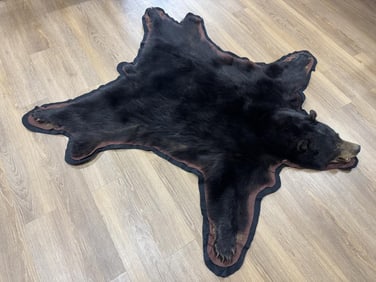 Bear Skin Pelt / Rug