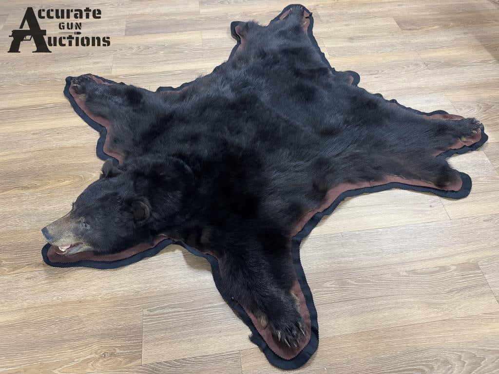 Bear Skin Pelt / Rug: Vintage Black Bear skin rug, beautiful condition complete with head and paws very well done mount is felt backed and was always displayed indoors from a non smoking and non pet estate, very clean Plea