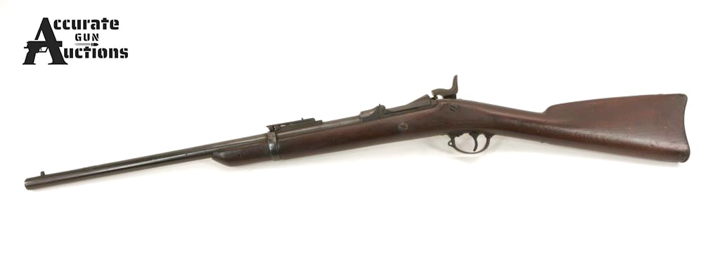 Springfield Armory 1873 TrapDoor 45/70 GOVT (1 of 20)