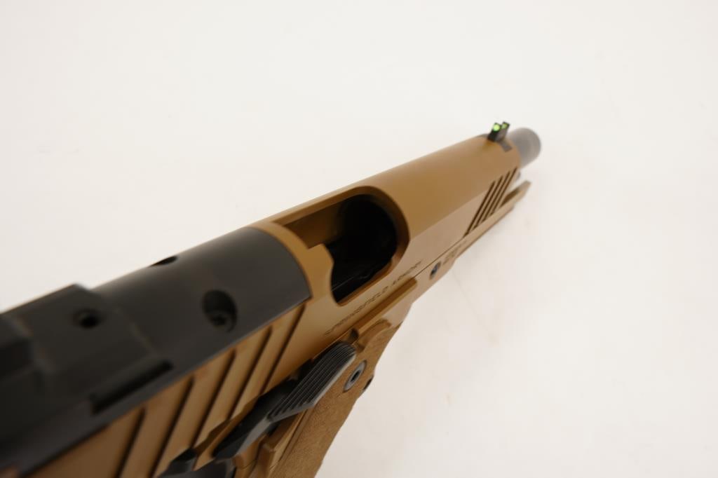 Springfield Armory Prodigy 9mm - 13