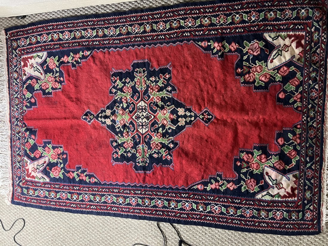 Persian Rug: Flat woven wool 65" x 42" 5 lbsEasy shipping with lowest cost