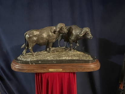 Cape buffalo Bronze Sculpture signed, dated and numbered with title: Kwataca by Rick Taylor Dated 89 and 21/36 on a beautifully shaped marble and American Walnut base.Super detailed and fantastic variation in the patina to give the impression of Buffalos showing