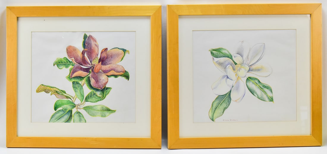CLAIRE HARKNESS FLORAL DRAWINGS (1 of 6)