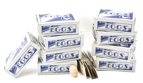 COAST BRAND EGG BOXES & BROODER EGG