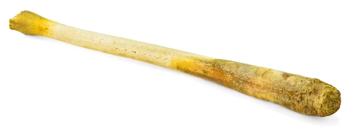 19TH CENTURY NATIVE ALASKAN WALRUS OOSIK
