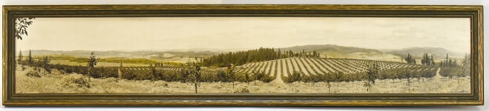 1934 DR. WILSON WALNUT RANCH. FOREST GROVE, OREGON HAND COLORED FRAMED PHOTOGRAPH