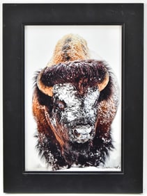 C. THOMAS HOFF SIGNED 'AMERICAN BISON' PHOTOGRAPH