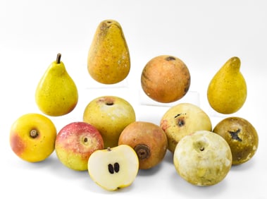 VINTAGE ALABASTER STONE FRUIT: APPLES & PEARS