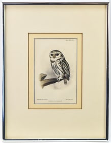 G. MARTORELLI 'ATHENE CHIARADIAE' LITHOGRAPH