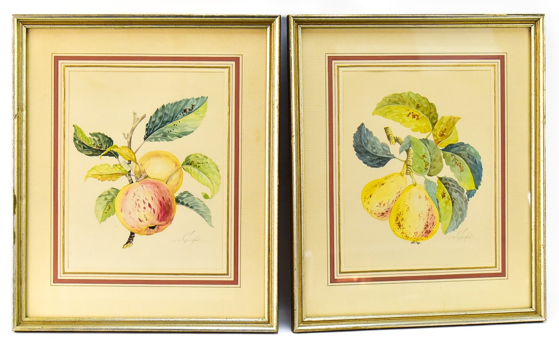 APPLE & PEAR WATERCOLOR PAINTINGS (1 of 7)
