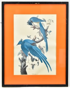 AUDUBON 'COLUMBIA JAY' HAND-COLORED LITHOGRAPH