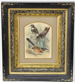 PURPLE-BACKED FRAMED SUNBEAM ILLUSTRATION PLATE; 19TH CENTURY