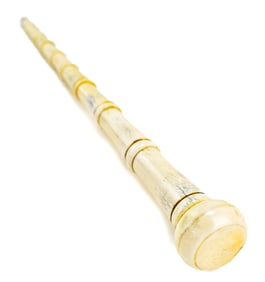 19TH CENTURY VICTORIAN CANE