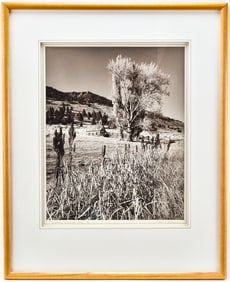 'SCHOOL HOUSE, SUMMER LAKE, OREGON, 1986' PHOTOGRAPH BY REINHOLD SCHABLE