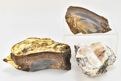 RAW GEMSTONES: BIGGS PICTURE JASPER & OPAL IN PEGMATITE