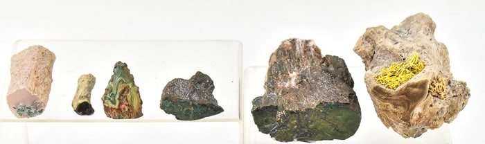 COLLECTION OF PETRIFIED WOOD